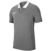 Vyriški Marškinėliai Nike Dri-FIT Park 20 Polo Pilka CW6933 071